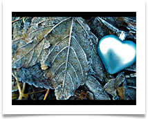 Leaf and Heart - Jane Turner